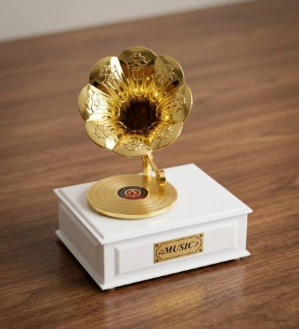 Vintage Gramophone Music Box