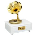 Vintage Gramophone Music Box